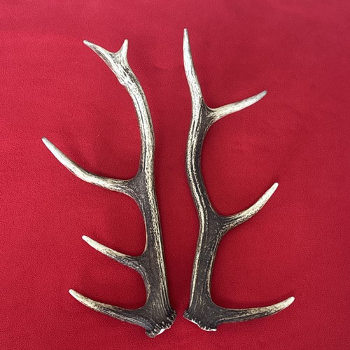 Pair red deer antlers - red,