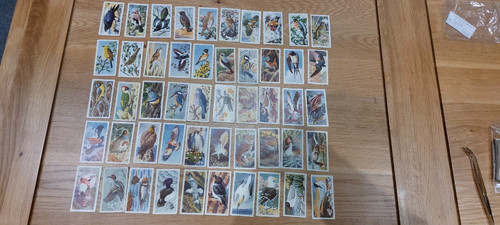 Brooke bond bird - bond,