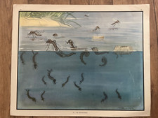 Eileen A Soper Vintage School