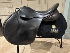 17.5” Ideal Nyala GP / Jump