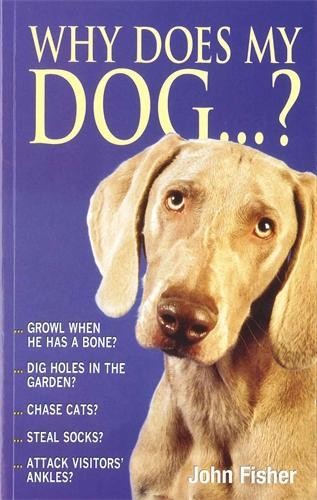 Why does dog by - why,