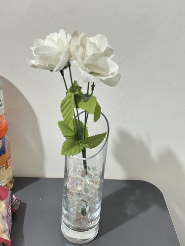 Lsa clear glass cylinder - clear,