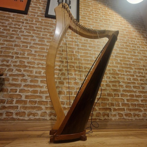 String harp celtic folk - harp,