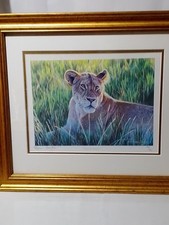 Stephen Gayford Print