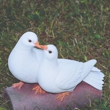 Couple Doves on Log Pigeon