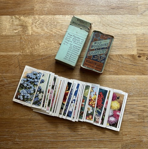 Vintage wills wild woodbine - vintage,