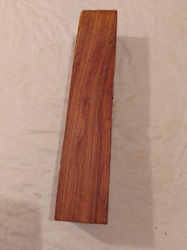 Mexican kingwood spindle - mexican,