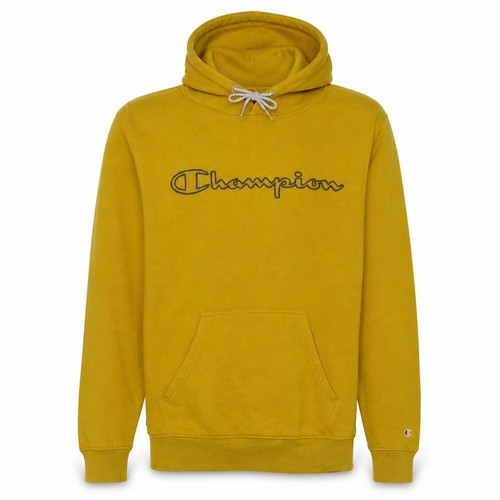 Champion mens pullover hoodie - champion,