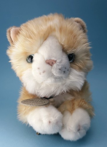 Keel tabatha ginger tabby - keel,