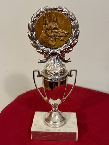 Vtg dog trophy - vtg,