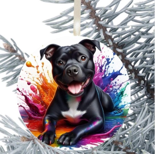 Staffordshire bull terrier dog - terrier,