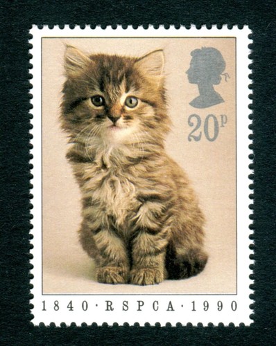 1990 rspca 20p - 20p, kitten,