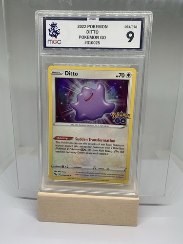 2022 ditto 053 - 053/078, go
