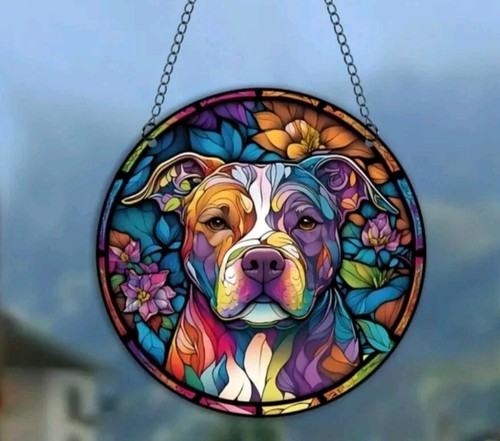 Charming bully staffy dog - bully,