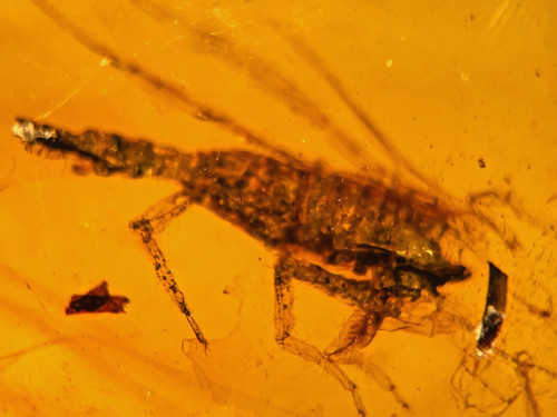 A101 bu2113 ghost scorpion - a101,