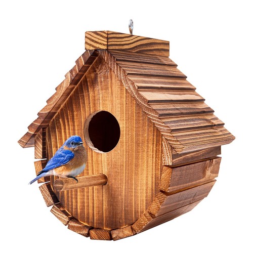 Bird boxes for gardens - gardens, uk