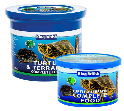 King british turtle - turtle, &