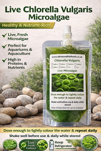 800ml chlorella microalgae - 800ml,
