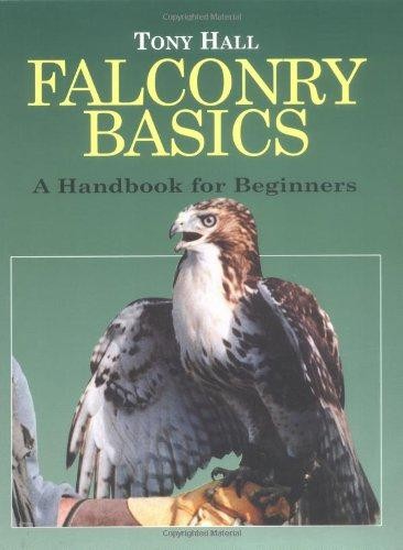 Falconry basics an - falconry,