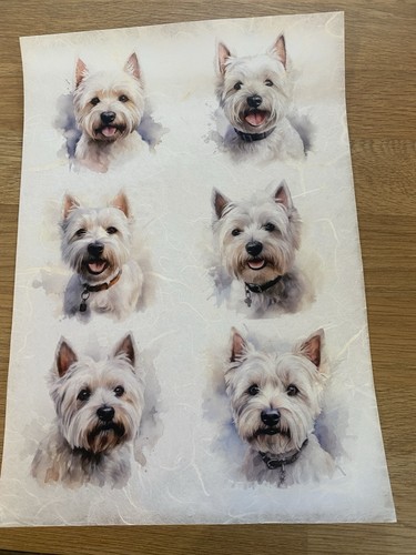 Rice paper for decoupage west - rice,