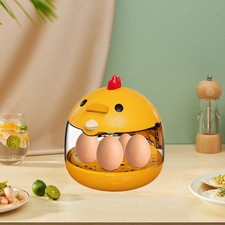 Eggs Incubator Practical Eggs