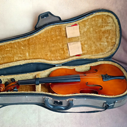 Acoustic violin brown - ⭐,