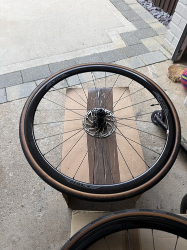 700c halo wheelset - wheelset, rd2