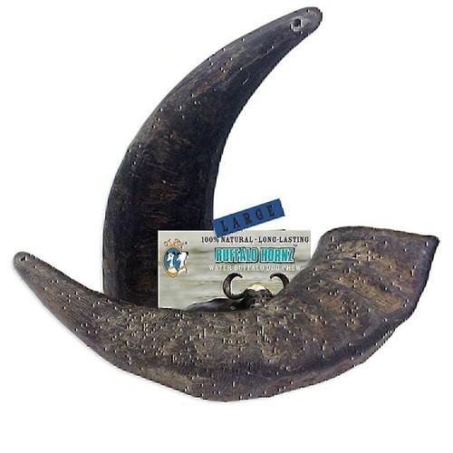 Pack buffalo hornz - 2, of