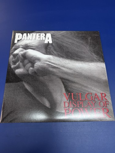 Pantera vulgar display - pantera, of