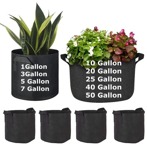 Pack large plant - pack, grow