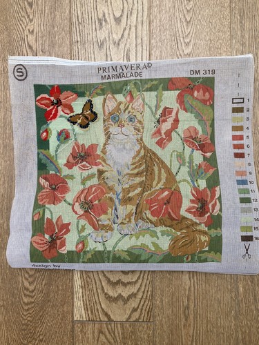 Primavera marmalade ginger - 'marmalade’,