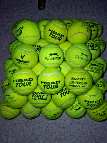 Used tennis balls for dogs - 30,