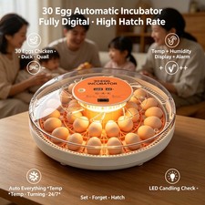 30 Egg Incubators for Hatching