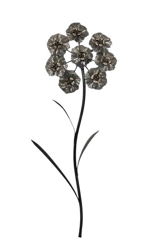 Dunelm hoya sweet alyssum - hoya,