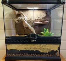 Exo Terra Mini Glass Natural Terrarium 30x30x30cm With Custom Desert Background