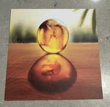 Jurrassic Park Amber Mosquito 5x5” Fine Art Print By ANDY FAIRHURST ⭐️