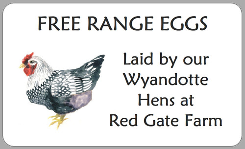 Wyandotte hen egg box labels - egg,