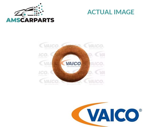 Seal oil drain - plug, v20-2422