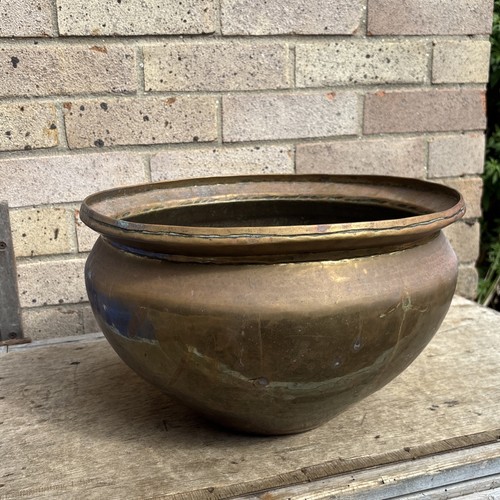 Antique vintage brass plant - antique, /