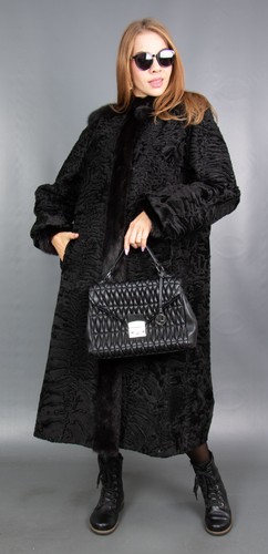 9832 amazing persian broadtail - 9832,