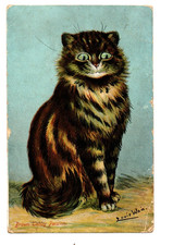 Cats. Brown Tabby Persian