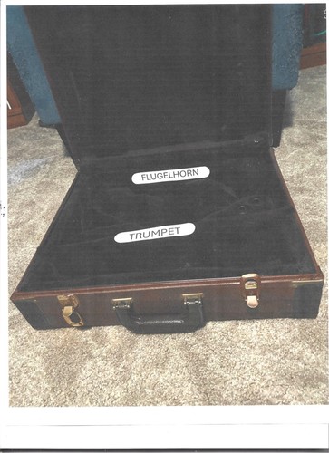 Double instrument case - double,
