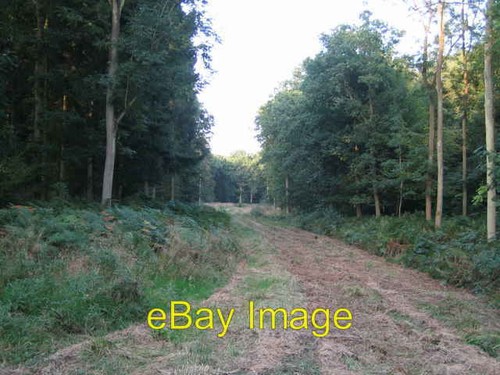 Photo 6x4 ride through runt - 6x4,