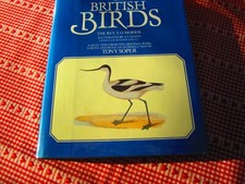 British birds morris