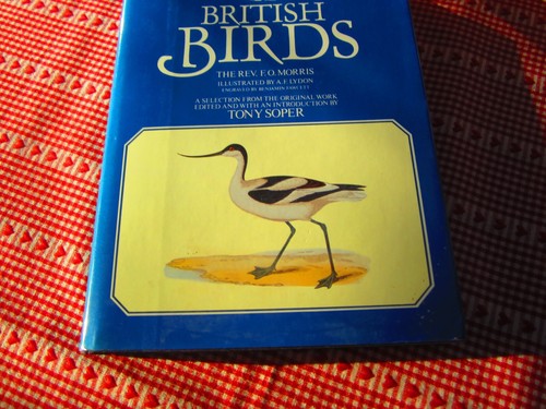 British birds morris