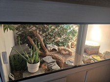 5ft White Vivarium and Cabinet Stand Reptile Enclosure with Accessories