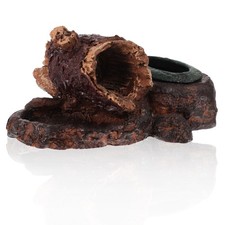  Lizard Tank Accessories Gecko