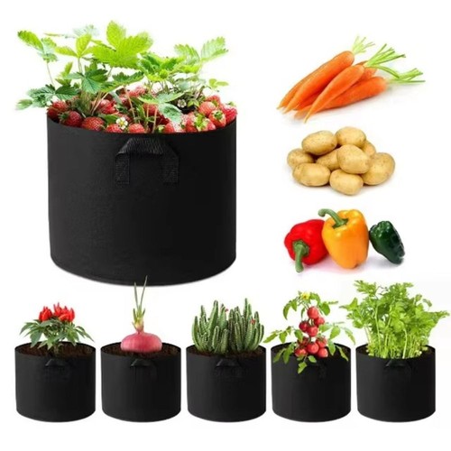 Pack large plant grow - 5,
