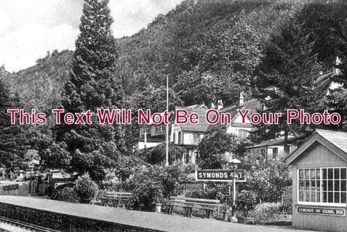 472 symonds yat railway - symonds,