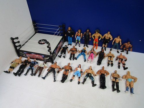 Wwe wrestling action figure - wrestling,